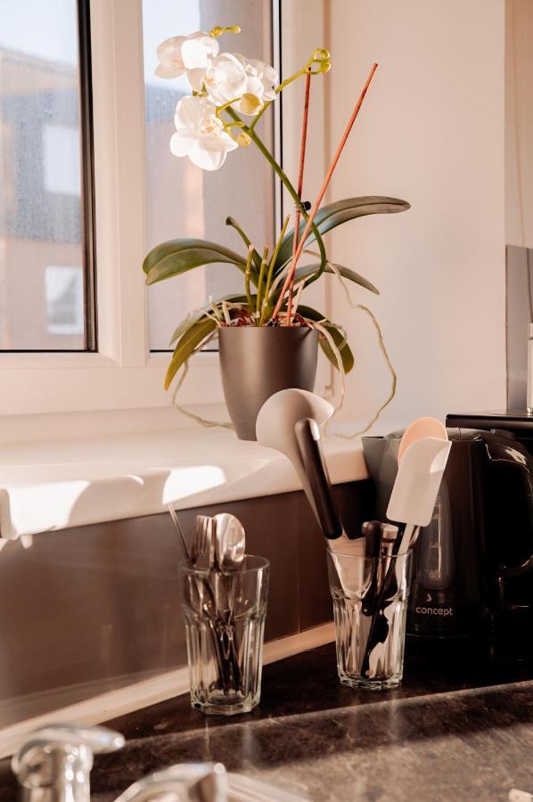 Apartmany Centrum โนวีบอร์ ภายนอก รูปภาพ